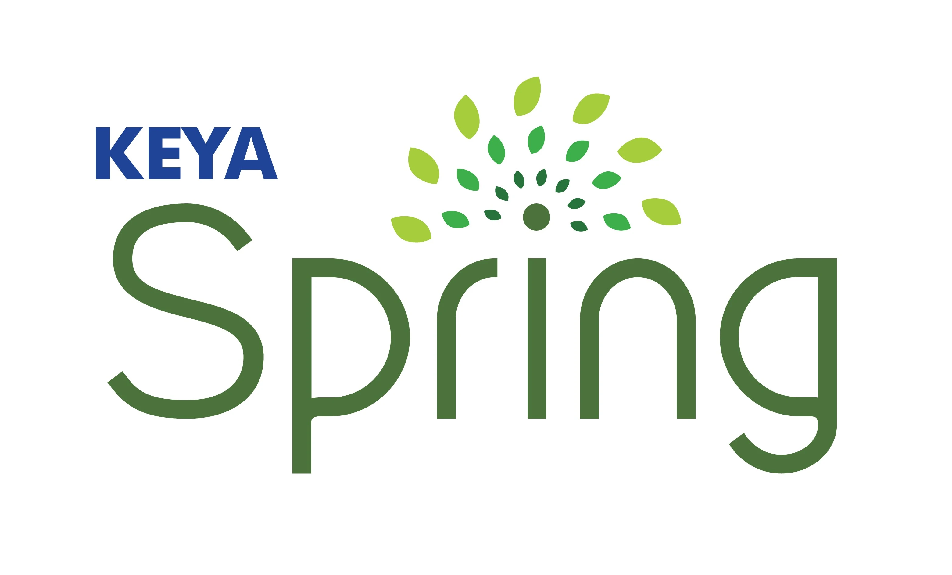 Keya Spring